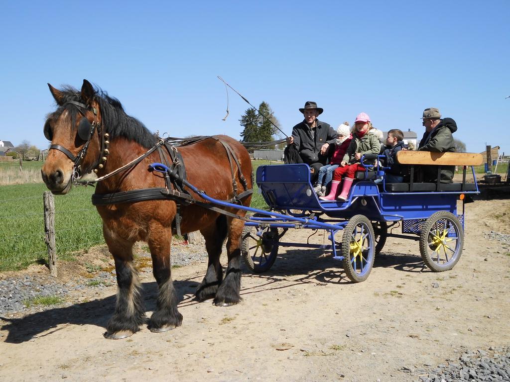 B&B Willow Springs Way Station Gouvy Luaran gambar